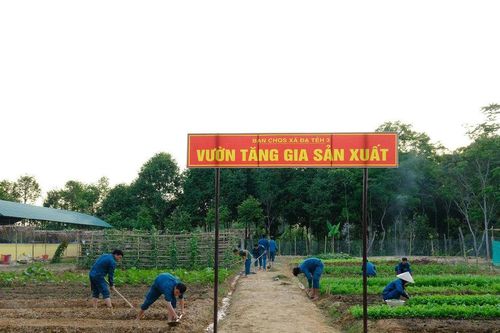 Vườn tăng gia xanh nuôi quân, rèn kỷ luật ở Ðạ Tẻh 3