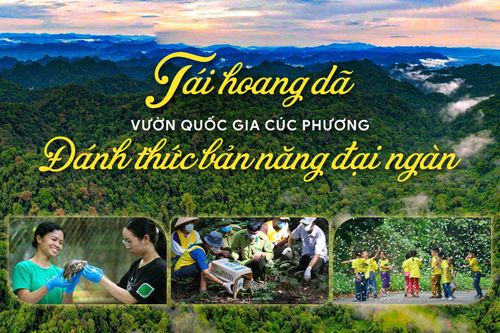 Tái hoang dã Vườn Quốc gia Cúc Phương: Đánh thức bản năng Đại ngàn