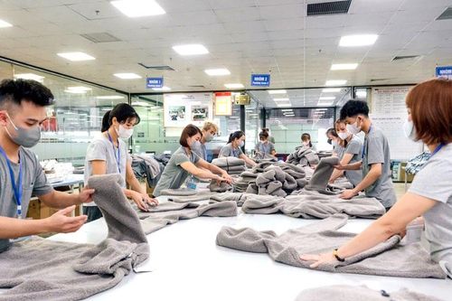 TNG bổ nhiệm ông Nguyễn Đức Mạnh giữ chức Chủ tịch Hội đồng quản trị