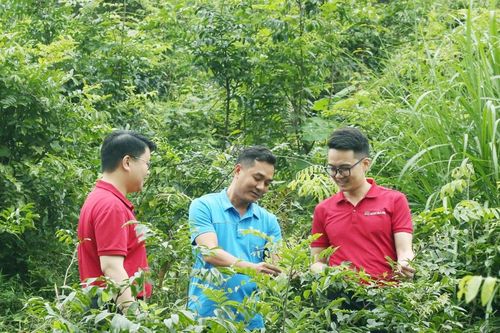 Tín dụng xanh thúc đẩy chuyển đổi kinh tế bền vững Bài cuối: Tín dụng xanh dễ mà khó