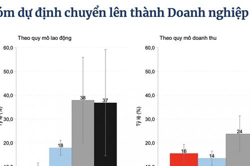 Hơn 84% hộ kinh doanh 'ngại' lên doanh nghiệp: Vì đâu?