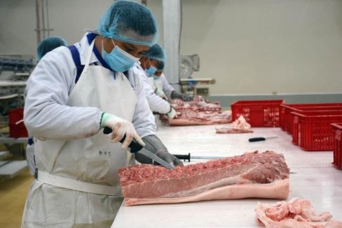 Đưa hoạt động giết mổ vào khuôn khổ, bảo đảm kiểm soát thú y