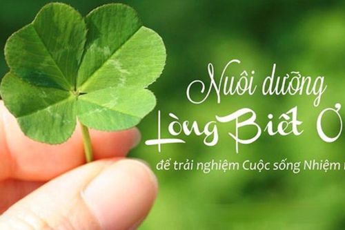 Học cách nói lời cảm ơn