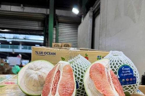 Bưởi Việt Nam chính thức đặt chân vào thị trường Úc