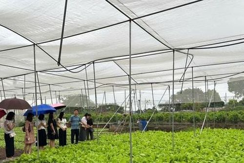 Phường Dương Nội kiểm soát nguồn thực phẩm vào trường học, bảo vệ bữa ăn sạch cho học sinh