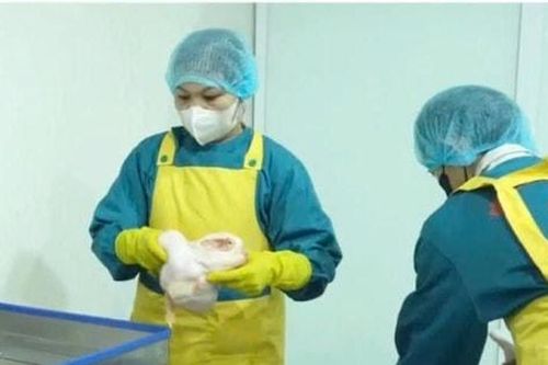 Xã Phù Đổng quyết liệt xóa bỏ cơ sở giết mổ nhỏ lẻ, tự phát