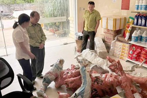 Phát hiện vụ vận chuyển phôi cây muội hồng trái phép qua đường bưu điện