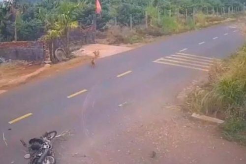 Cựu thiếu tá CSGT bị khởi tố vì bỏ mặc nam sinh lớp 12 gặp nạn tử vong