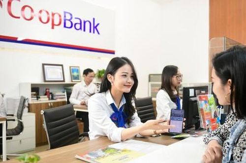 Thanh tra NHNN yêu cầu Co-opBank kiểm điểm, rút kinh nghiệm
