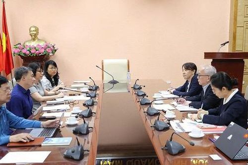 Thứ trưởng Bộ Y tế Trần Văn Thuấn tiếp, làm việc với Chuyên gia cố vấn chính sách của JICA