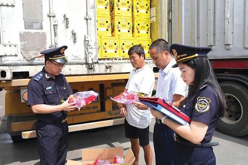 Chuyển cơ quan điều tra 18 vụ việc có dấu hiệu tội phạm