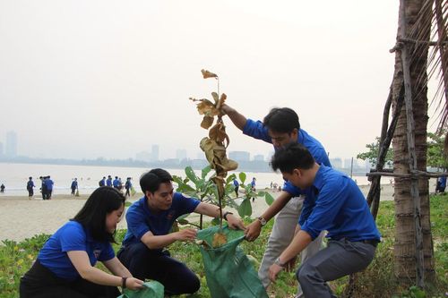 Hơn 600 tình nguyện viên dọn vệ sinh, làm đẹp vịnh Đà Nẵng