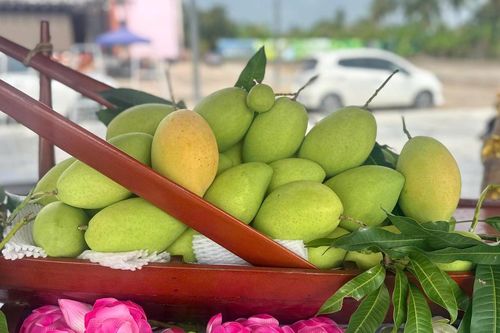 Lễ hội trái cây 'Đồng Tháp - Miền trái ngọt'