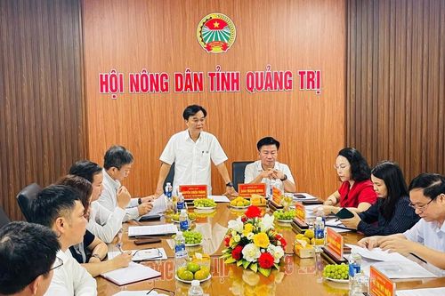 Mặt trận Quảng Trị làm việc với Hội Nông dân tỉnh