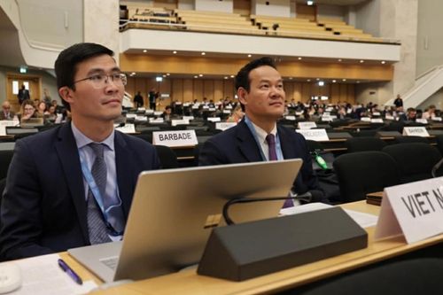 Văn hóa và nhân quyền