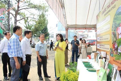 Gia Lai: Trải nghiệm không gian cà phê đặc sản, sản phẩm OCOP