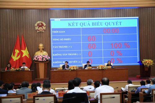 Quảng Ngãi chuyển đổi gần 83ha rừng phục vụ dự án Khu đô thị 6.600 tỉ đồng tại Măng Đen