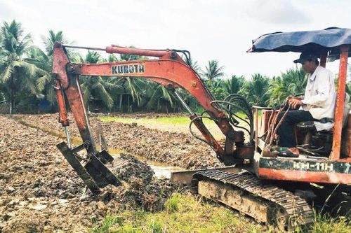 Bảo đảm quỹ đất lúa gắn với an ninh lương thực
