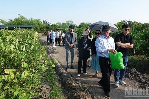 Tìm sản phẩm du lịch đặc thù cho tỉnh Tây Ninh