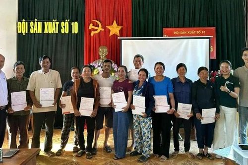 Chi trả bảo hiểm mưa trái mùa cho nông dân trồng cà-phê