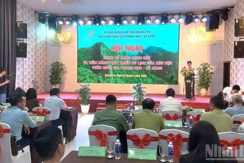 Thêm hàng chục hang động mới có quy mô lớn, giá trị cao được ghi nhận tại Vườn quốc gia Phong Nha-Kẻ Bàng