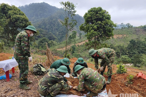 Mệnh lệnh từ trái tim