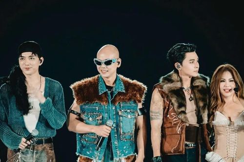 Phan Đinh Tùng chia sẻ lý do không tham gia 'Gai Home Concert' vì một tuyên bố 'gây sốc'