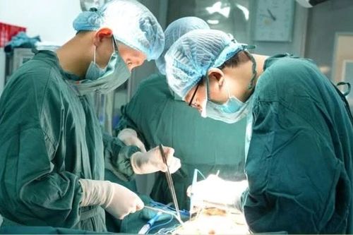 Đi tiểu ra phân do rò bàng quang, đại tràng hiếm gặp