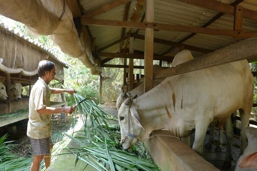Đưa chính sách đến với đồng bào dân tộc thiểu số ở An Giang
