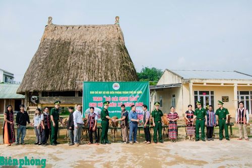 Bộ đội Biên phòng thành phố Đà Nẵng trao bò cái sinh sản cho hộ nghèo biên giới