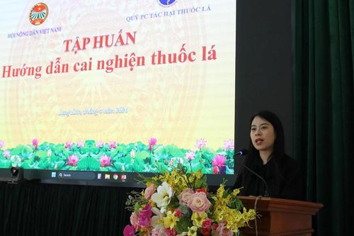 Tập huấn chuyên sâu về phòng, chống tác hại thuốc lá cho cán bộ hội nông dân ở Lạng Sơn