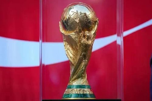 Italia từ chối nhận đặc ân để thay Iran dự World Cup