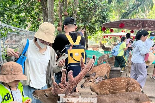 Chính thức có thêm một ngày nghỉ làm việc hưởng nguyên lương