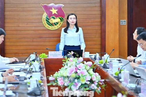 Xét chọn giải thưởng Cánh én hồng và giải thưởng Kim Đồng năm 2026
