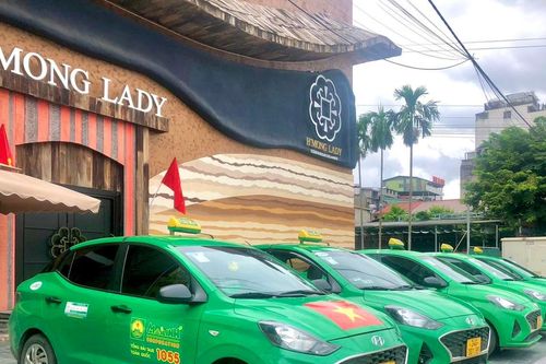 Ngân hàng thu giữ loạt xe điện của một doanh nghiệp taxi