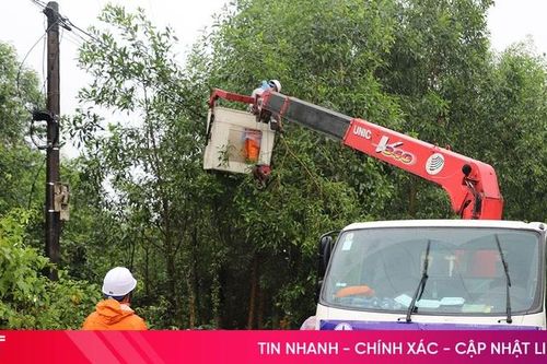 Điện lực Hà Tĩnh ra quân giải phóng hành lang bảo vệ an toàn lưới điện