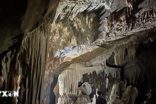 Phát hiện thêm 26 hang động mới tại Vườn quốc gia Phong Nha-Kẻ Bàng