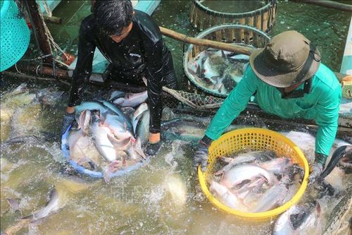 Khát vọng làm giàu từ tư duy nông nghiệp hiện đại