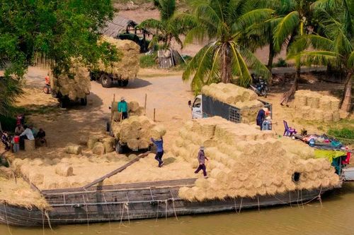 Nhộn nhịp chợ rơm 'độc nhất' miền Tây