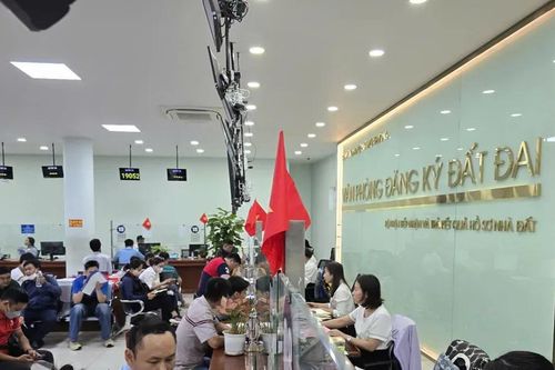 Người dân TPHCM kỳ vọng 'ngồi nhà' làm sổ đỏ