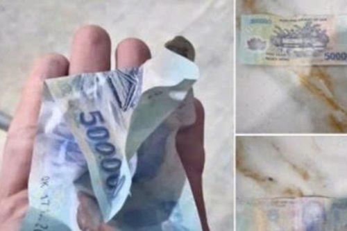 Lời cảnh báo đặc biệt đến các cơ sở kinh doanh: Đừng bỏ qua!