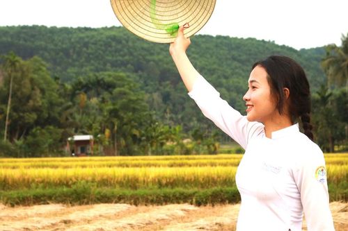 Mùa vàng trên non