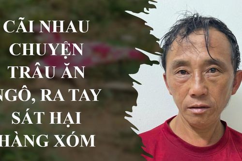 Cãi nhau chuyện trâu ăn ngô, ra tay sát hại hàng xóm
