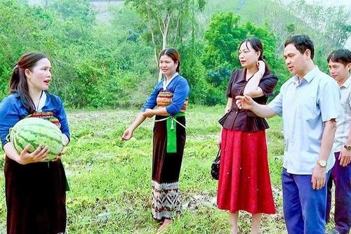 Chuyển đổi cây trồng bền vững trên đất đồi