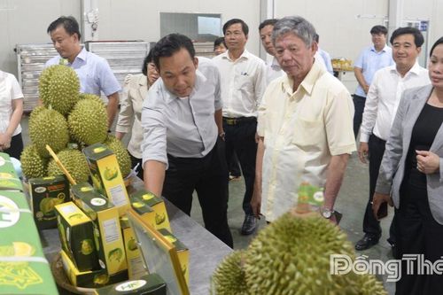 Bí thư Tỉnh ủy khảo sát tại xã Ngũ Hiệp và xã Long Tiên