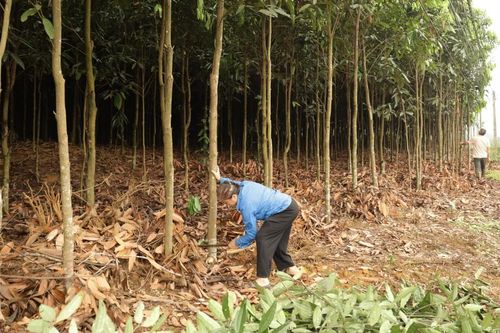 Những tấm lòng vì đường quê rộng mở
