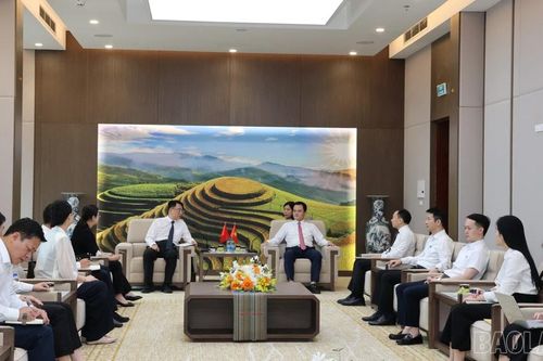 Đoàn đại biểu Ngoại vụ Chính quyền Nhân dân châu Hồng Hà chào xã giao lãnh đạo UBND tỉnh Lào Cai