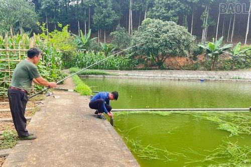 Hướng đi mới cho thủy sản Bảo Hà
