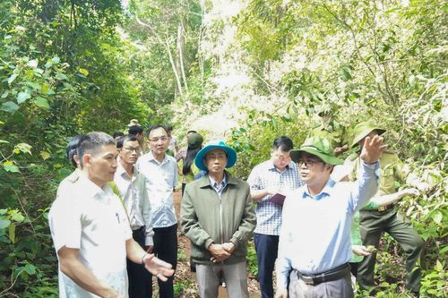 HĐND tỉnh Lâm Đồng giám sát công tác quản lý, bảo vệ rừng vùng biên