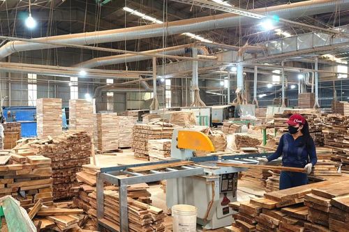 Minh bạch nguồn gốc, nâng cao giá trị gỗ rừng trồng